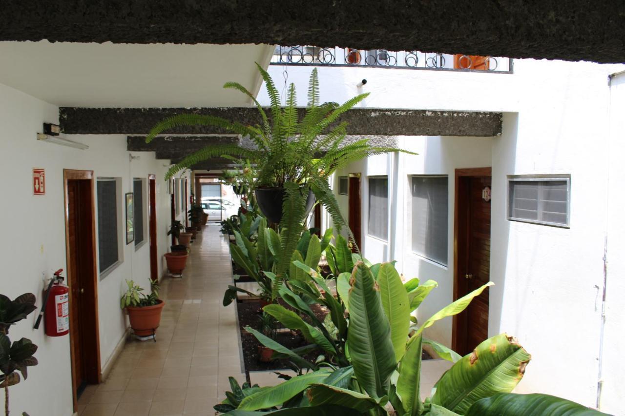 Hotel Casablanca Tuxtla Tuxtla Gutiérrez Eksteriør bilde